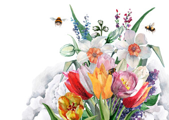 Composition of wildflowers cornflowers, poppies, daffodils, tulips with buds, leaves and flying bees. Hand-drawn watercolor on a white background for cards, invitations, textiles, prints, packaging.