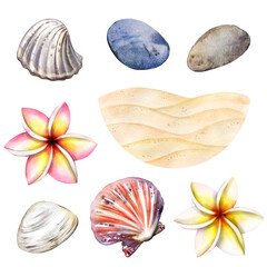 Watercolor namor with seashells, Plumeria flowers, sea sand 