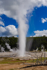 Geyser Old Faithful erupts in Yellowstone National Park in Wyoming, US