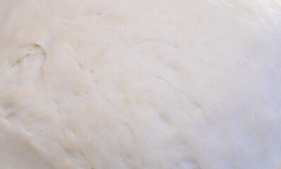 Close up dough in the process of fermentation