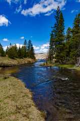 Obraz premium River with warm water in the valley of the Yellowstone National Park, Wyoming USA