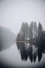 Fotobehang Grijs Moody Lake Trees