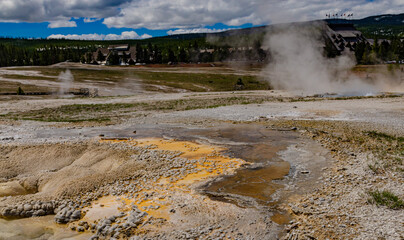 Algae-bacterial mats. Hot thermal spring, hot pool in the Yellowstone NP. Wyoming, US