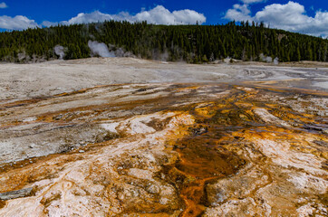 Algae-bacterial mats. Hot thermal spring, hot pool in the Yellowstone NP. USA