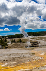 Fototapeta na wymiar Geyser Old Faithful erupts in Yellowstone National Park in Wyoming, US