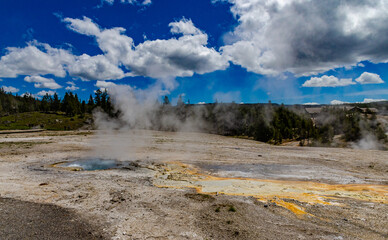 Boiling water bubbler Geyser. Active geyser with major eruptions. Yellowstone NP, Wyoming, US