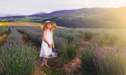 The little girl collects flowers on a lavender field