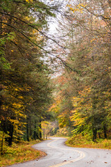 road trip on open road and highway traversing vibrant autumn woods