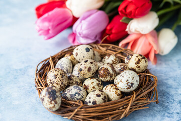 Obraz premium Beautiful colorful tulips with quail eggs in wreath made of twigs, blue background. Spring and Easter holiday concept.
