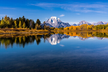 Fall Leaves at Oxbow Bend Grand Teton 