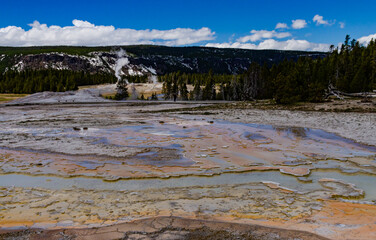 Boiling water bubbler Geyser. Active geyser with major eruptions. Yellowstone NP, Wyoming, US