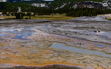 Boiling water bubbler Geyser. Active geyser with major eruptions. Yellowstone NP, Wyoming, US
