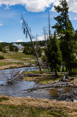 Obraz premium River with warm water in the valley of the Yellowstone NP, USA