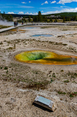 Boiling water bubbler Geyser. Active geyser with major eruptions. Yellowstone NP, Wyoming, US