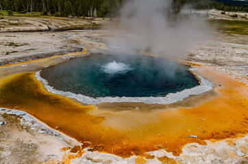 Boiling water bubbler Geyser. Active geyser with major eruptions. Yellowstone NP, Wyoming, US