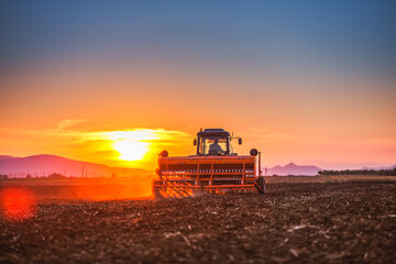 Fototapeta premium Beautiful sunset, farmer in tractor preparing land with seedbed cultivator