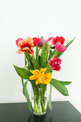 Naklejka na ściany i meble Bouquet of tulips in glass vase on black table. Beautiful spring flowers. White wall. Home decor.