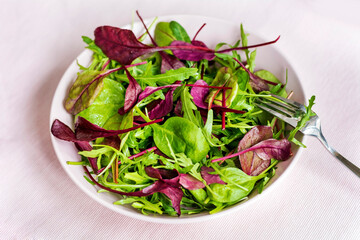 Fresh Green Salad with Arugula and Baby Spinach