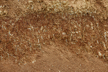 red earth close-up