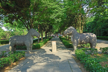 China, Nanjing, stone horses along the Elephant road at the entry of Xiao ling Mausoleum. The place has harmony and serenity atmosphere.