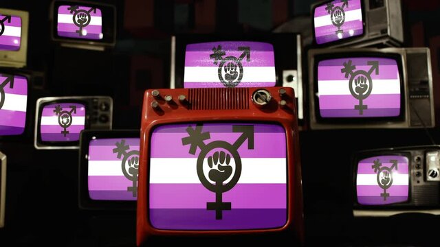 Transfeminist Pride Flag on Retro Televisions.