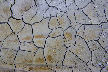 dried earth