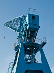 Blue Crane