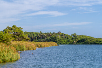 Fototapeta na wymiar River View in the Dominican Republic