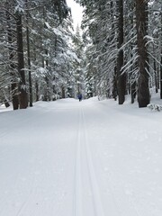 cross country skiing