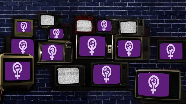 Feminist Flags on a Retro TV Wall. 