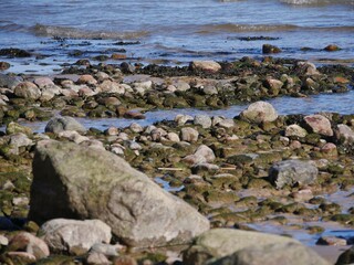 Küste mit Steinen