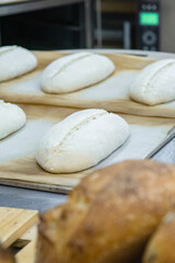 Baker making bread , man hands , kneading a dough , cooking coat.The concept of small bakeries, craft traditional bread