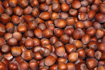 Hazelnut