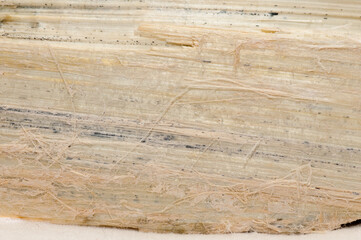 Fototapeta premium asbestos, serpentine fibers
