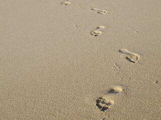 Fototapeta na wymiar Footprints In The Sand, Sylt, Schleswig Holstein, Germany, Europe