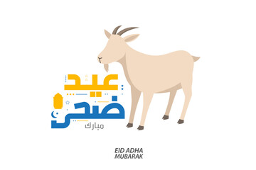 Eid adha mubarak calligraphy vector. Celebration of Muslim holiday the sacrifice a goat
