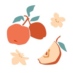 Set of fresh fruit red apple with green leaf, flower, slice in hand drawing style isolated on white background. Vector flat illustration. Design for textiles, labels, posters, card