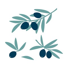 Obraz na płótnie Canvas Set of olive tree branches with green leaf and fruit olives in hand drawing style isolated on white background. Vector flat illustration. Design for textiles, labels, posters, card