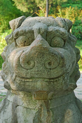China, Nanjing, stone lion in the Sacred Way to Xiao ling Mausoleum. The place has harmony and serenity atmosphere. - 419257985