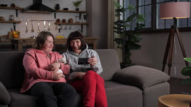 Cheerful handicapped girl with down syndrome holding cute chihuahua puppy and together with her mom watching funny video content on cellphone. Family with child invalid enjoying fun leisure indoors