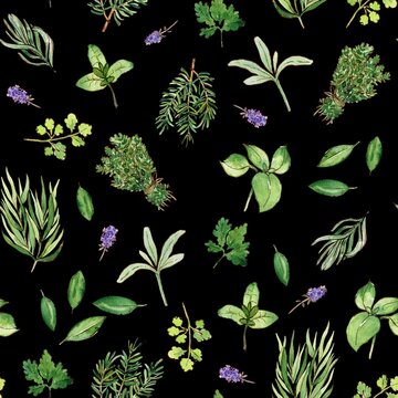 Watercolor and ink herbs pattern on dark green. Seamless pattern with freshly aromatic herbs. Colorfull background for textile, wallpapers, print and banners.