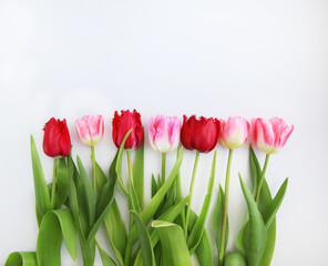 A bouquet of red and white tulips on a white background.
