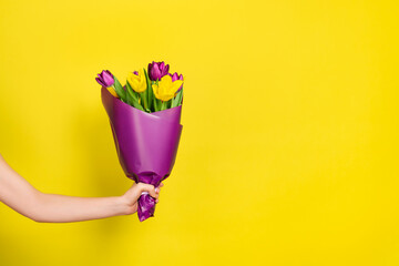 Bouquet of yellow and purple tulips in hand on a yellow background. Greeting card template with copy space. The concept of holiday on March 8, Women's Day, Valentine's Day, mother's day. Spring banner