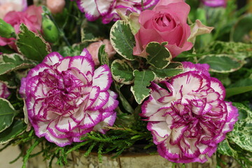 Floral arrangement closeup featuring white carnations with purple fringes and pink roses