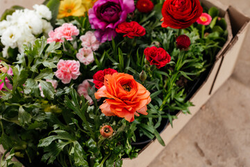 The set of beautiful spring flowers for home