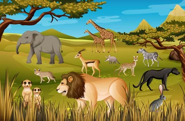 Gruppe wilder afrikanischer Tiere in der Waldszene © blueringmedia