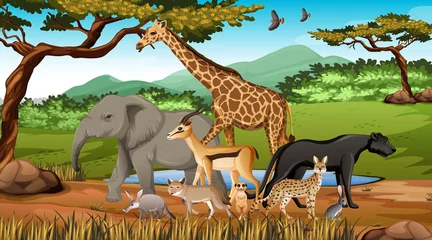 Gruppe wilder afrikanischer Tiere in der Waldszene © blueringmedia