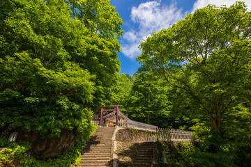 bridge over the river