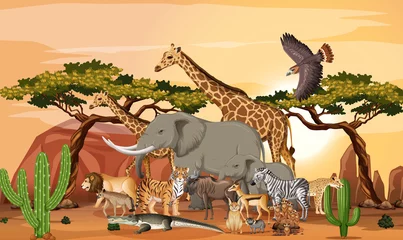 Gruppe wilder afrikanischer Tiere in der Waldszene © blueringmedia