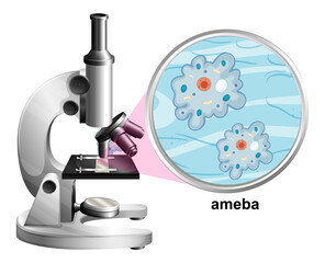 Microscope with anatomy structure of Ameba on white background